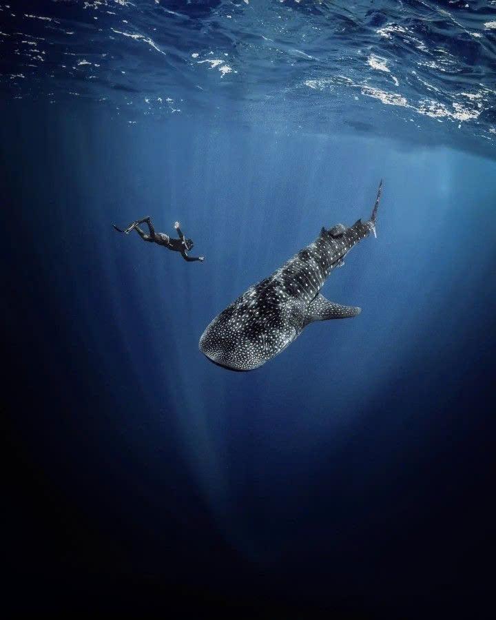 Cebu (Philippines): Khi thi&ecirc;n đường kh&ocirc;ng c&ograve;n l&agrave; giấc mơ xa xỉ với du kh&aacute;ch Việt - Ảnh 2.