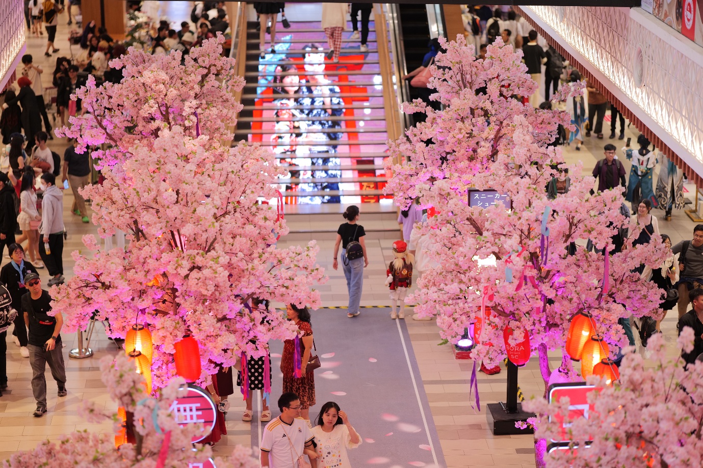 Th&aacute;ng 3 n&agrave;y! Một Nhật Bản &ldquo;dễ thương hết nấc&rdquo; xuất hiện tại phường B&igrave;nh Dương- Ảnh 2.