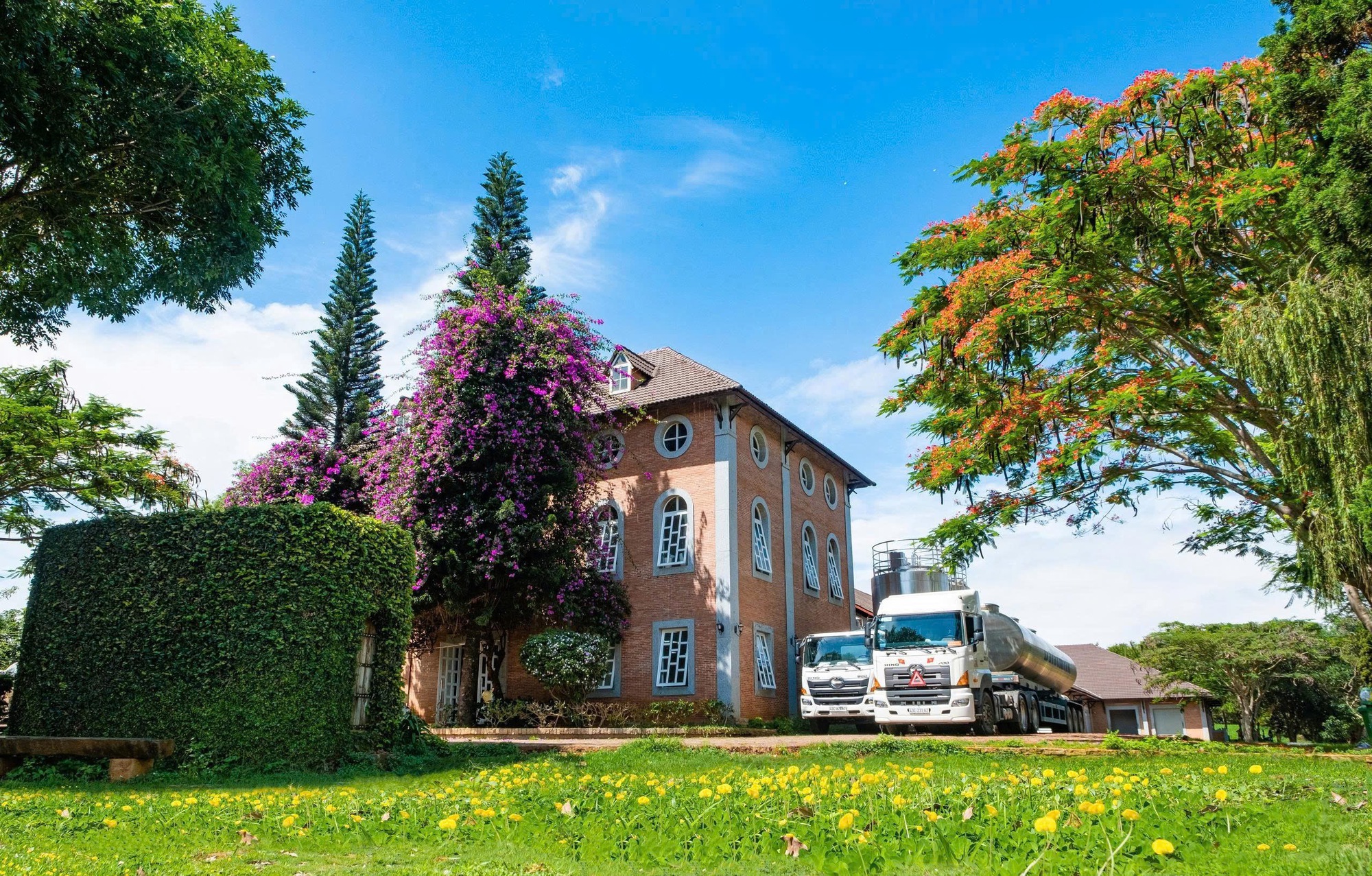 Dalatmilk ra mắt "Sữa Tươi Thanh Tr&ugrave;ng Hương Chuối" - kết hợp ho&agrave;n to&agrave;n từ sữa tươi cao nguy&ecirc;n v&agrave; hương chuối tự nhi&ecirc;n- Ảnh 2.