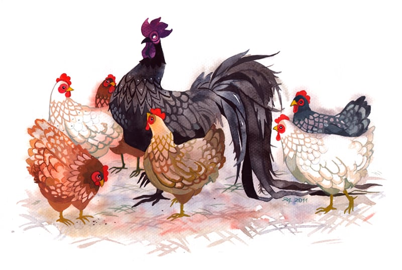 Chuyên gia dự báo: 3 con giáp có thể đạt khoản dự phòng 200 triệu trong 1 năm tới - Ảnh 2.