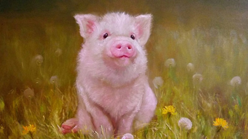 Chuyên gia dự báo: 5 năm tới, 3 con giáp có cơ hội bứt phá tài chính, thu nhập mở rộng từ nhiều nguồn- Ảnh 1. Chuyên gia dự báo: 5 năm tới, 3 con giáp có cơ hội bứt phá tài chính, thu nhập mở rộng từ nhiều nguồn- Ảnh 1.