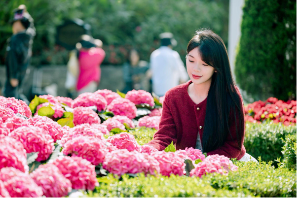 Dịp lễ 30/4 &ndash; 1/5, đừng bỏ lỡ "đại tiệc nghệ thuật, ẩm thực v&agrave; bia tr&ecirc;n đỉnh B&agrave; N&agrave; - Ảnh 5.