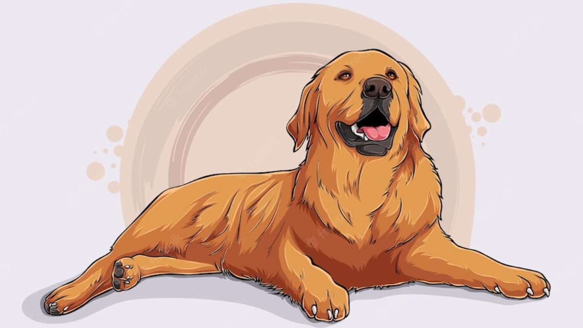 Chuy&ecirc;n gia dự b&aacute;o: Từ nay đến trước Tết 2027, 3 tuổi n&agrave;y dễ chốt mua nh&agrave;, t&agrave;i ch&iacute;nh dần ổn định hơn - Ảnh 3.