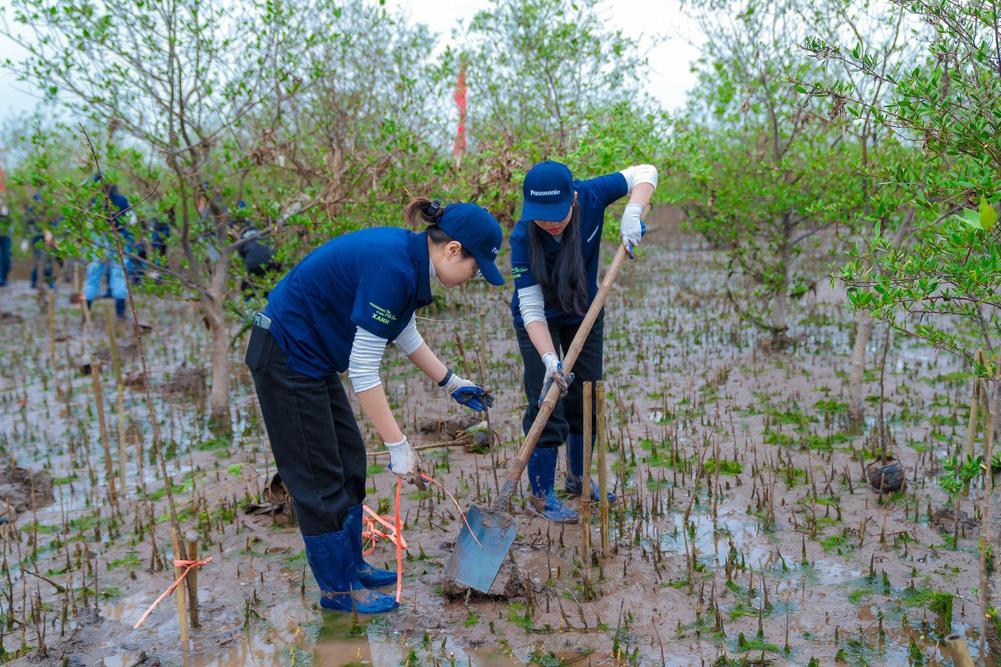 Panasonic v&agrave; h&agrave;nh tr&igrave;nh gieo mầm ph&aacute;t triển bền vững, trao quyền cho thế hệ tương lai- Ảnh 4.