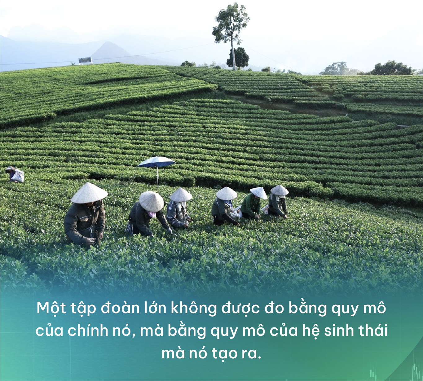 Trong kỷ nguy&ecirc;n mới - doanh nghiệp chỉ &ldquo;lớn&rdquo; th&ocirc;i l&agrave; chưa đủ: Vai tr&ograve; dẫn dắt chuỗi gi&aacute; trị của c&aacute;c tập đo&agrave;n tư nh&acirc;n- Ảnh 6.