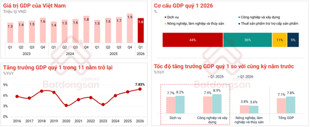 Sự ph&acirc;n h&oacute;a trong vận hội mới - Ảnh 1.