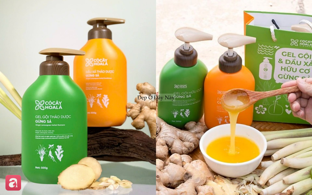 5 bộ gội xả "made in Vietnam" ổn từ chất lượng tới giá cả, ai dùng cũng tấm tắc khen- Ảnh 4. 5 bộ gội xả "made in Vietnam" ổn từ chất lượng tới giá cả, ai dùng cũng tấm tắc khen- Ảnh 4.