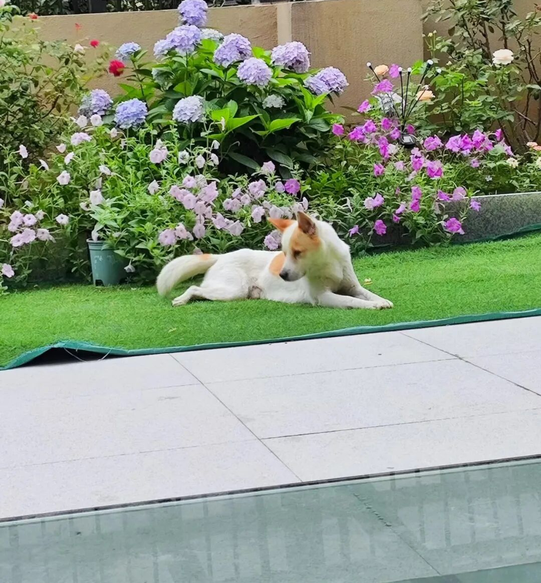 T&ocirc;i mua căn hộ tầng trệt c&oacute; tầng hầm v&igrave; tưởng &ldquo;lời gấp đ&ocirc;i&rdquo; - 2 năm sau muốn b&aacute;n lỗ cũng kh&ocirc;ng ai mua - Ảnh 7.