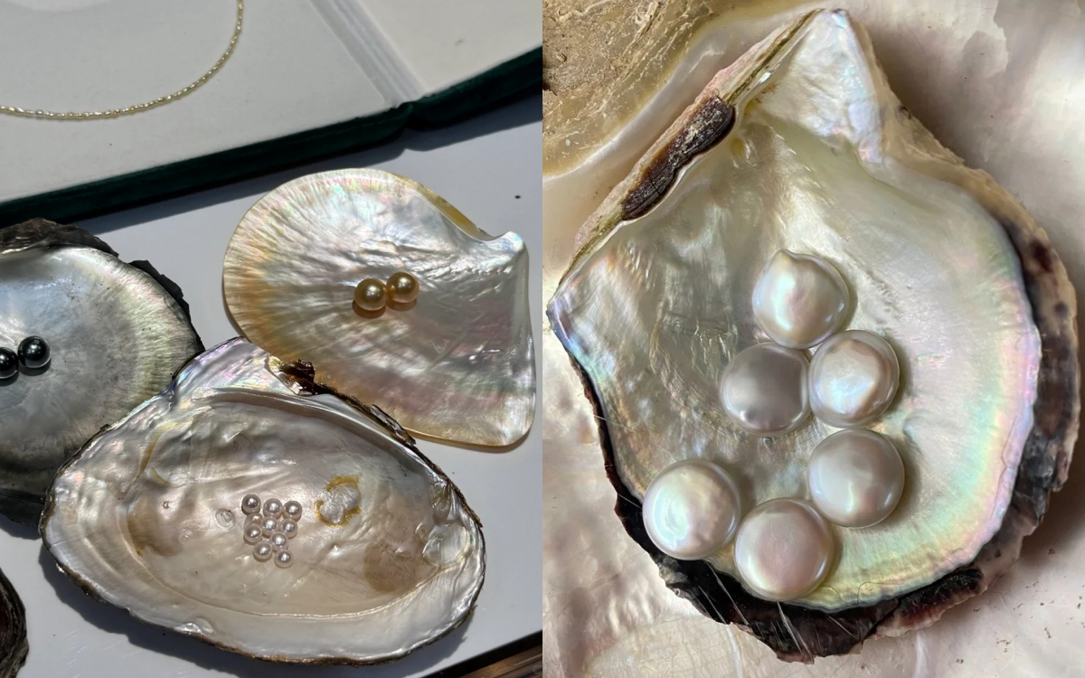 Túi khảm xà cừ 32 cánh hoa "ai nhìn cũng mê" của Dior- Ảnh 2. Túi khảm xà cừ 32 cánh hoa "ai nhìn cũng mê" của Dior- Ảnh 2.