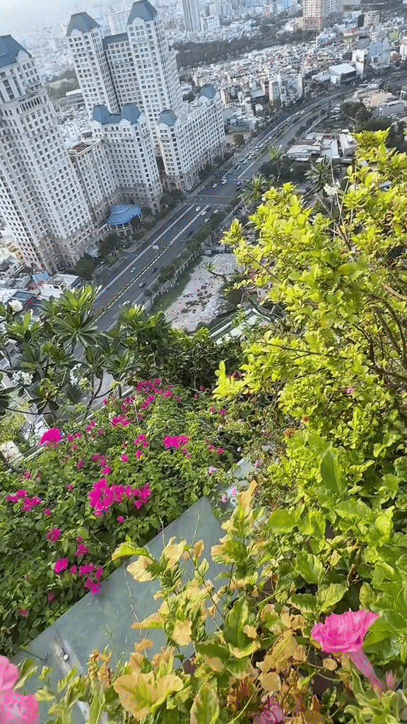 Khu vườn tr&ecirc;n penthouse tầng 36, ngắm trọn Landmark 81: "Ph&uacute; b&agrave;" thu đẫm tr&aacute;i ngọt hoa thơm- Ảnh 14.
