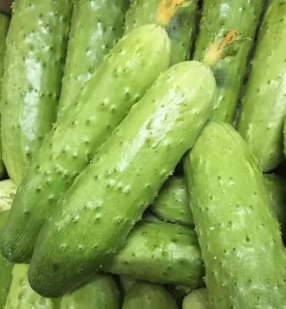 Đừng t&ugrave;y tiện chọn bất kỳ quả dưa chuột n&agrave;o! Tr&aacute;nh 4 lỗi n&agrave;y th&igrave; ngay cả những người b&aacute;n rau cũng phải gọi bạn l&agrave; chuy&ecirc;n gia - Ảnh 2.