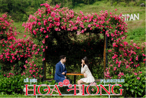 H&agrave;ng vạn du kh&aacute;ch "đổ về" Fansipan, n&ocirc; nức check in Lễ hội Hoa hồng 2026 - Ảnh 1.