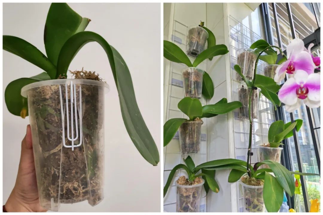 D&ugrave;ng đồ gia dụng &ldquo;ngược lại&rdquo;, t&ocirc;i tiết kiệm được gần một nửa chi ph&iacute; mua sắm trong nh&agrave; - Ảnh 8.