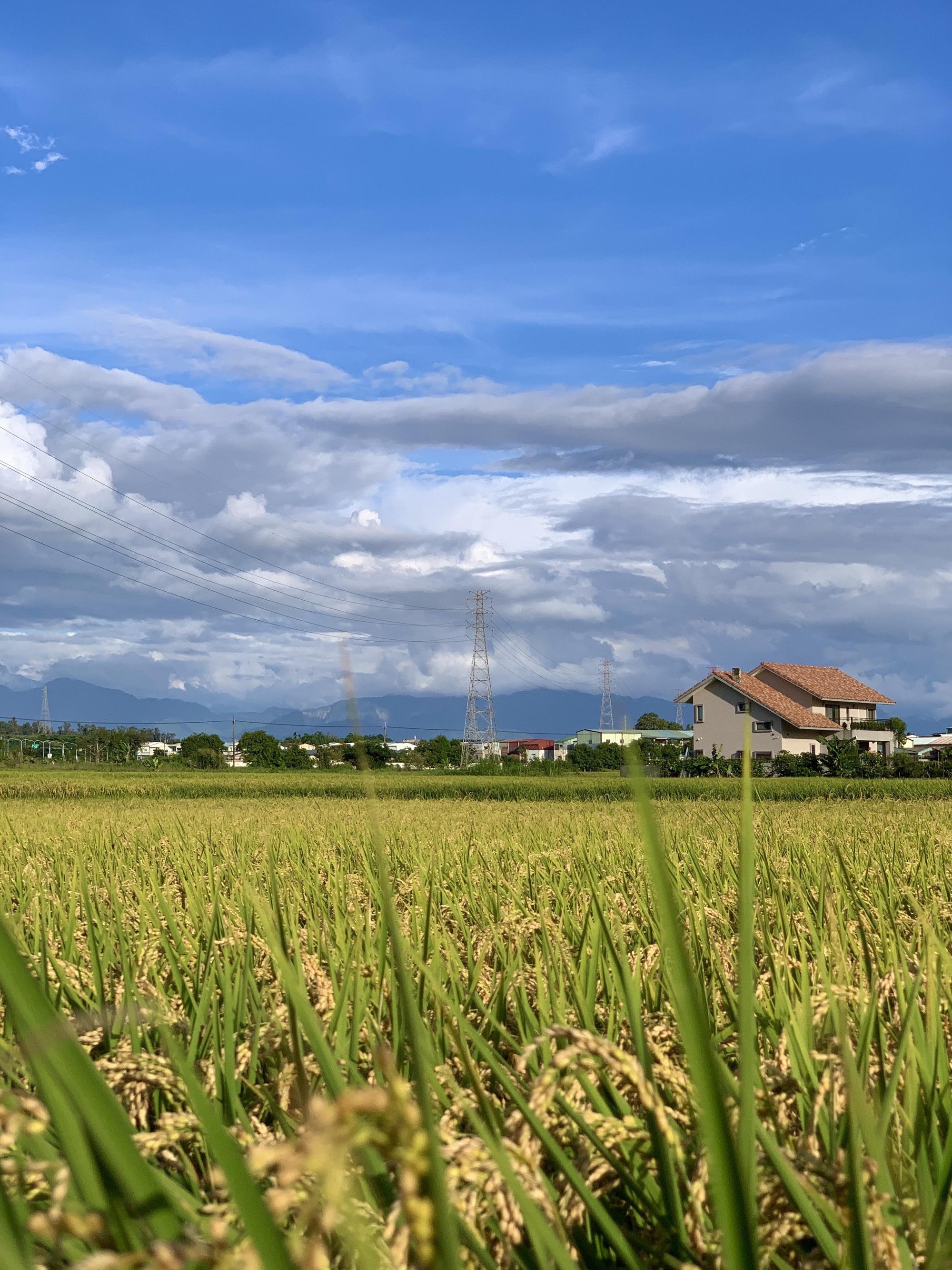 Về qu&ecirc; dịp Thanh Minh, nh&igrave;n căn nh&agrave; cũ của bố mẹ, t&ocirc;i nhận ra: C&oacute; những thứ kh&ocirc;ng cần mua mới vẫn đủ đầy- Ảnh 2.