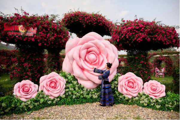 Du lịch Sa Pa 30/4: Đắm say với "Bản giao hưởng hoa hồng" tại Sun World Fansipan Legend - Ảnh 1. Du lịch Sa Pa 30/4: Đắm say với "Bản giao hưởng hoa hồng" tại Sun World Fansipan Legend - Ảnh 1.