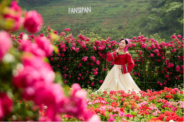 Du lịch Sa Pa 30/4: Đắm say với "Bản giao hưởng hoa hồng" tại Sun World Fansipan Legend - Ảnh 2. Du lịch Sa Pa 30/4: Đắm say với "Bản giao hưởng hoa hồng" tại Sun World Fansipan Legend - Ảnh 2.