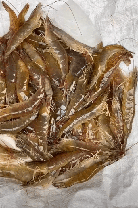 Chỉ với 100k, mẹ đảm Ninh B&igrave;nh "c&acirc;n" hết bữa ăn cho gia đ&igrave;nh 5 người khiến hội chị em rần rần xin b&iacute; k&iacute;p- Ảnh 11.