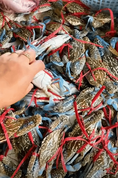 Chỉ với 100k, mẹ đảm Ninh B&igrave;nh "c&acirc;n" hết bữa ăn cho gia đ&igrave;nh 5 người khiến hội chị em rần rần xin b&iacute; k&iacute;p- Ảnh 10.