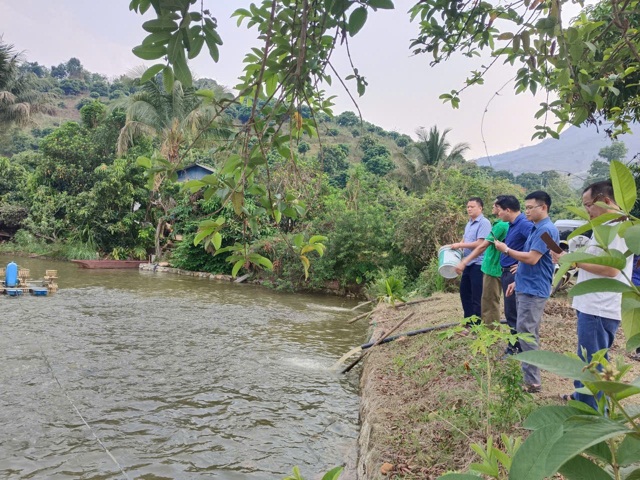Khảo s&aacute;t thực trạng ph&aacute;t triển kinh tế n&ocirc;ng, l&acirc;m nghiệp tr&ecirc;n địa b&agrave;n x&atilde; Chiềng Khoong v&agrave; đề xuất giải ph&aacute;p - Ảnh 3.