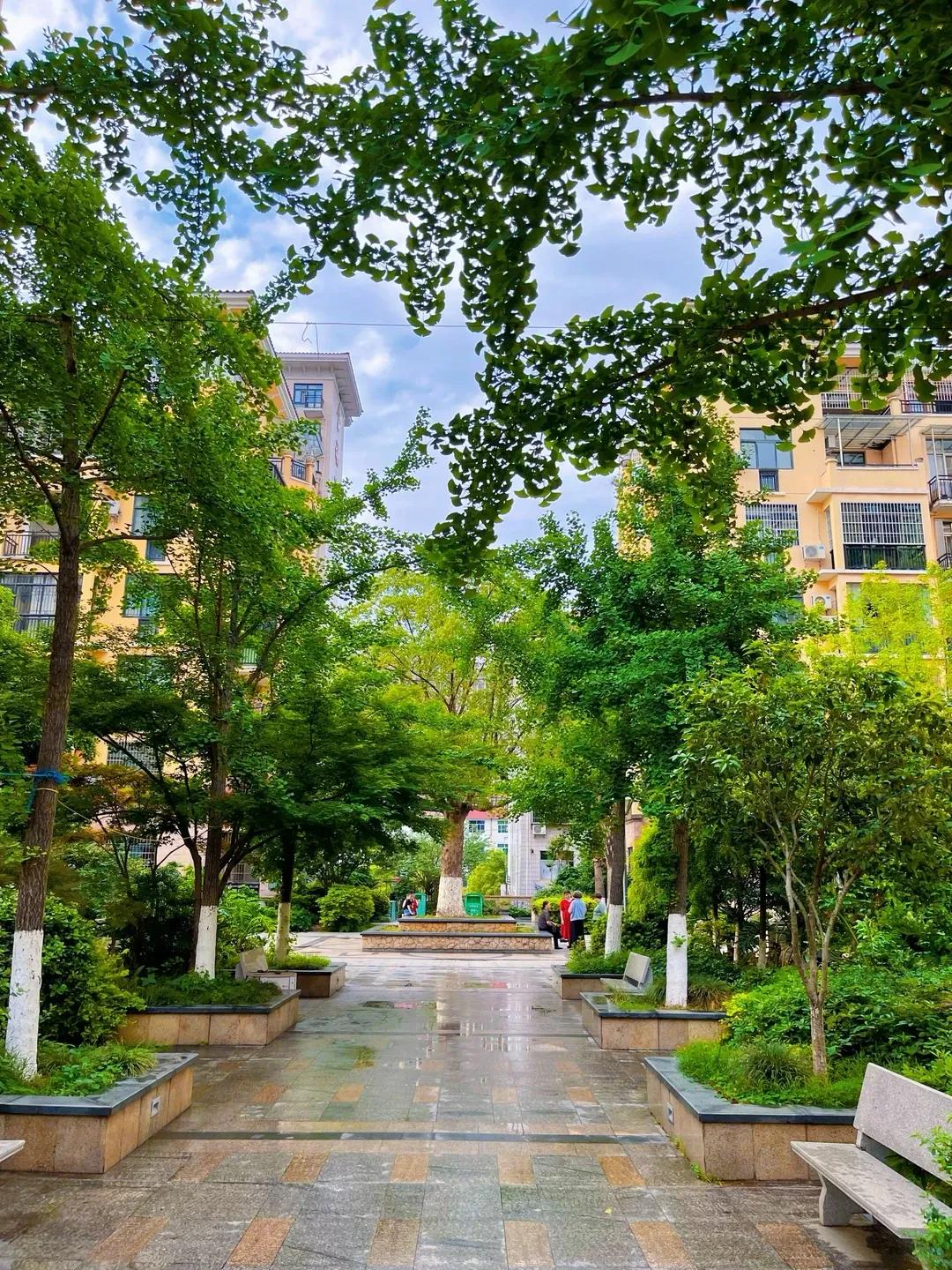 Rời căn hộ tầng 32 để về khu tập thể cũ, tôi mới hiểu sống thoải mái không nằm ở việc nhà cao bao nhiêu tầng - Ảnh 3.