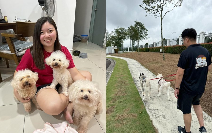 Sau ly h&ocirc;n ở tuổi 45, nhiều phụ nữ bắt đầu lại từ 5 nghề n&agrave;y v&agrave; dần c&oacute; khoản để d&agrave;nh- Ảnh 3.