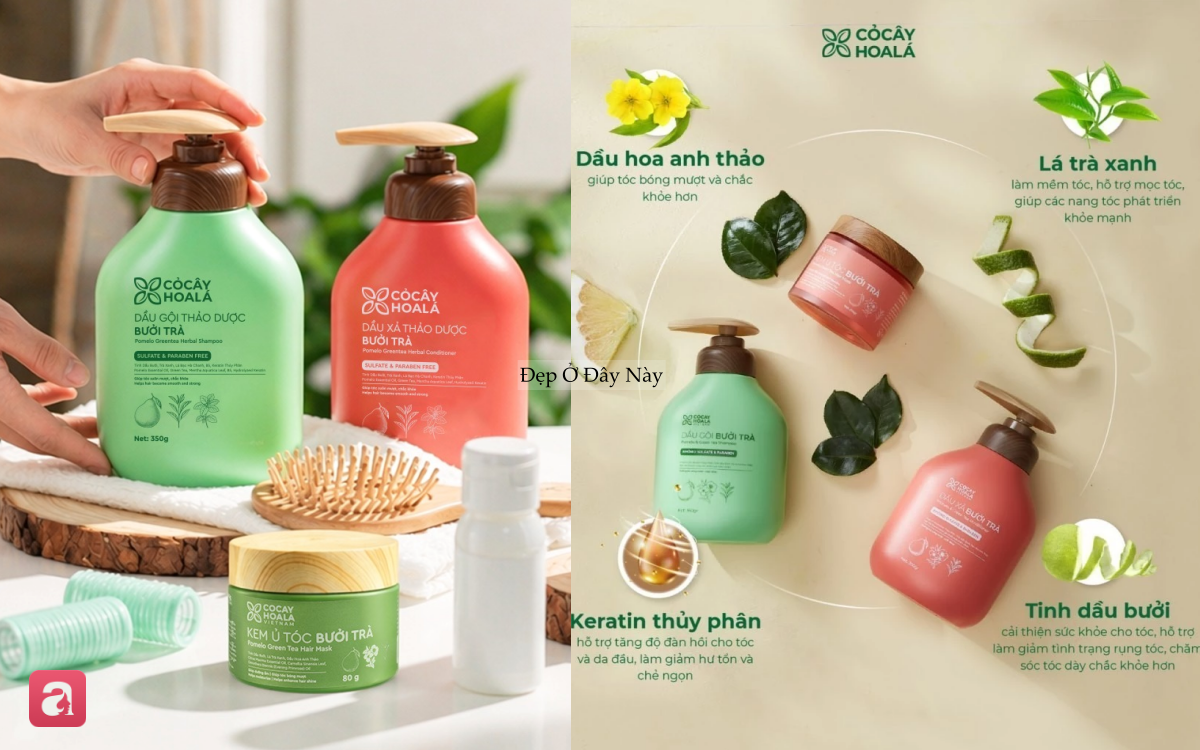 5 chai dầu gội "made in Vietnam" gi&aacute; b&igrave;nh d&acirc;n: L&agrave;m sạch s&acirc;u m&agrave; kh&ocirc;ng kh&ocirc; t&oacute;c, c&ograve;n bồng bềnh tự nhi&ecirc;n- Ảnh 6.