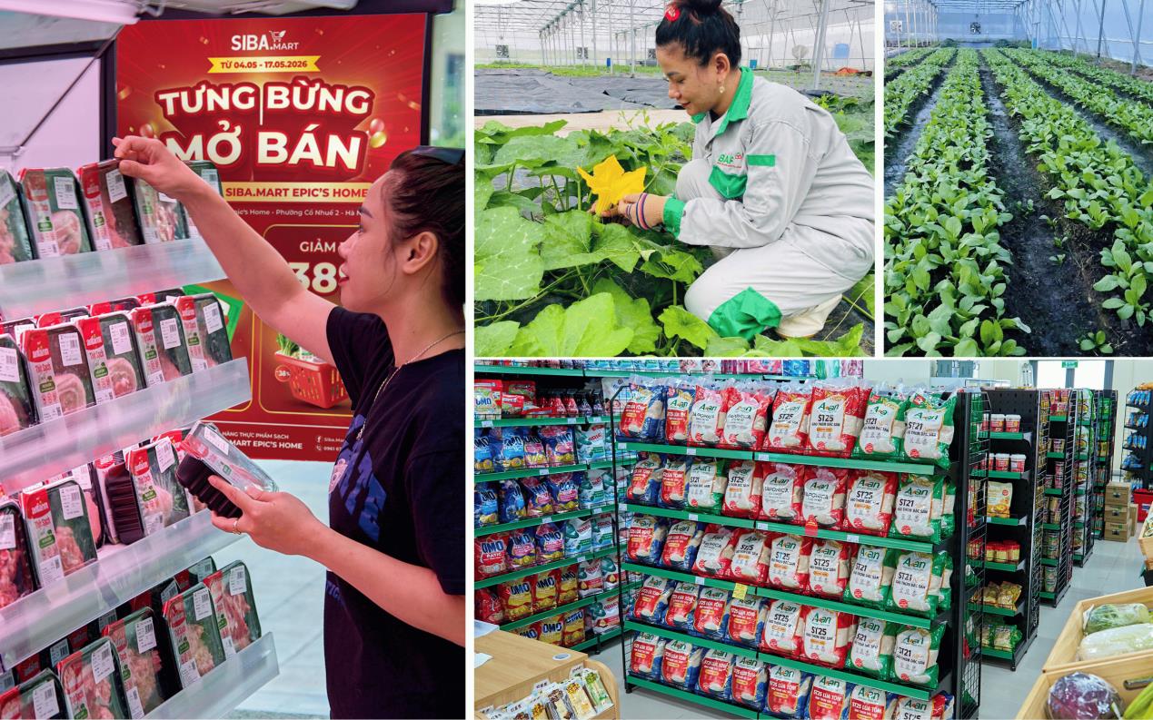 SIBA.MART v&agrave; tham vọng t&aacute;i định h&igrave;nh chuẩn mực chuỗi b&aacute;n lẻ thực phẩm sạch tại Việt Nam- Ảnh 2.