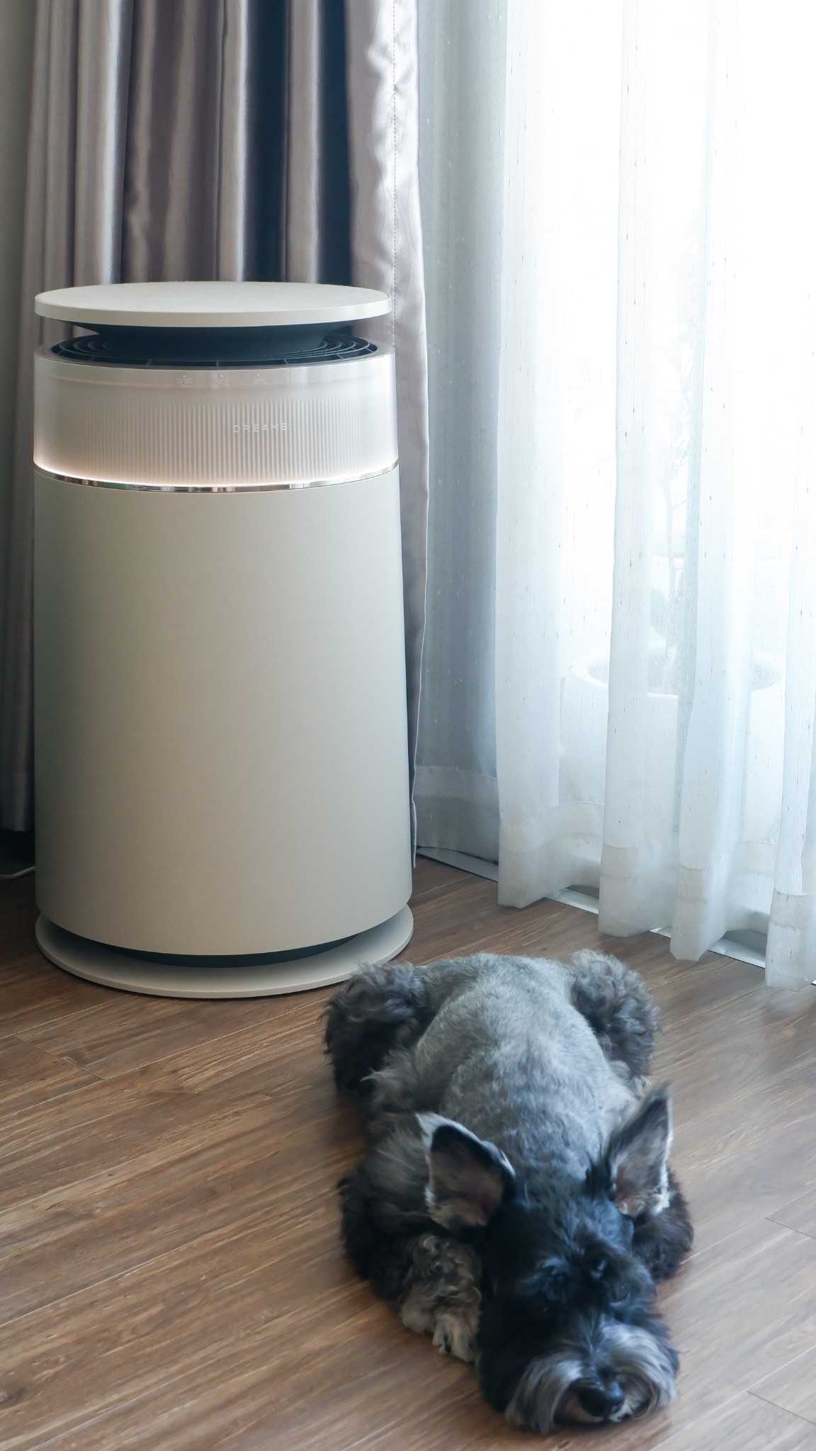 M&aacute;y lọc kh&ocirc;ng kh&iacute; tự l&agrave;m sạch Dreame FP10 FurCatcher cho nh&agrave; nu&ocirc;i th&uacute; cưng c&oacute; g&igrave;? - Ảnh 2.