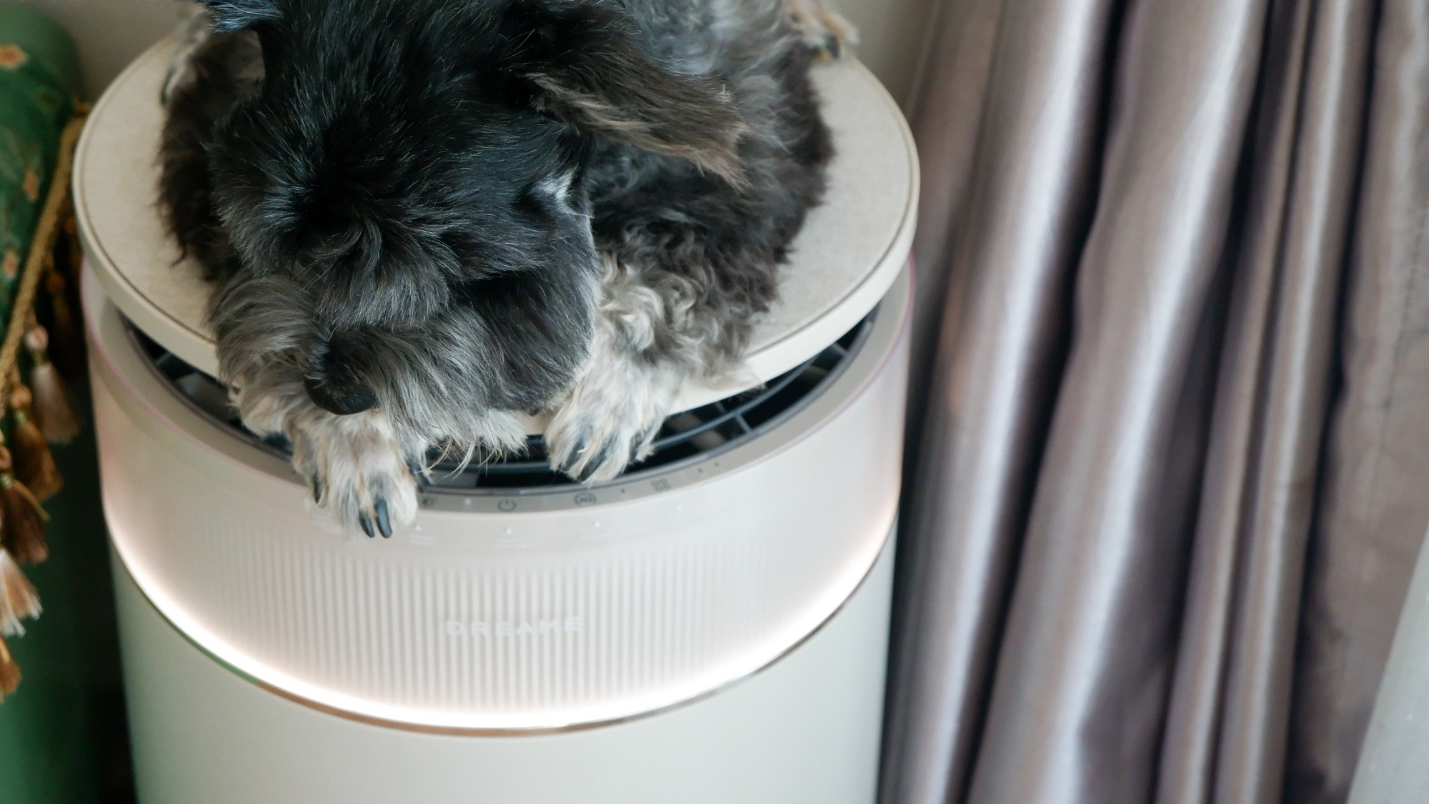 M&aacute;y lọc kh&ocirc;ng kh&iacute; tự l&agrave;m sạch Dreame FP10 FurCatcher cho nh&agrave; nu&ocirc;i th&uacute; cưng c&oacute; g&igrave;? - Ảnh 4.