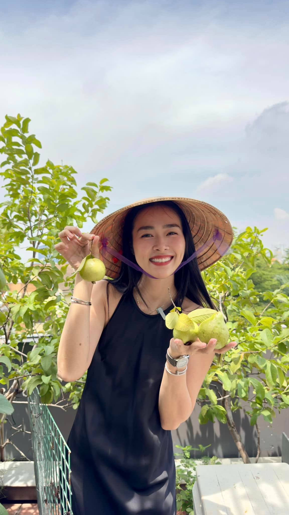 Mỹ phân Phí Phông - Diệp Bảo Ngọc: Làm chủ 3 công ty, sống trong nhà phố 100m2, sân thượng trồng gì mà lúc nào cũng trĩu quả? - Ảnh 2.