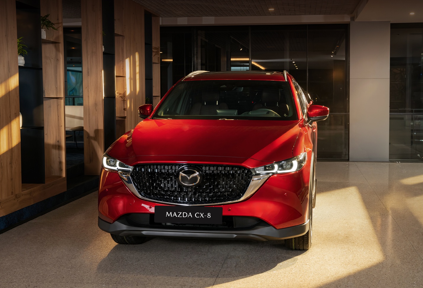 Mazda Việt Nam giới thiệu xe Mazda CX-8 2.5 Luxury gi&aacute; b&aacute;n 899 triệu đồng - Ảnh 2.