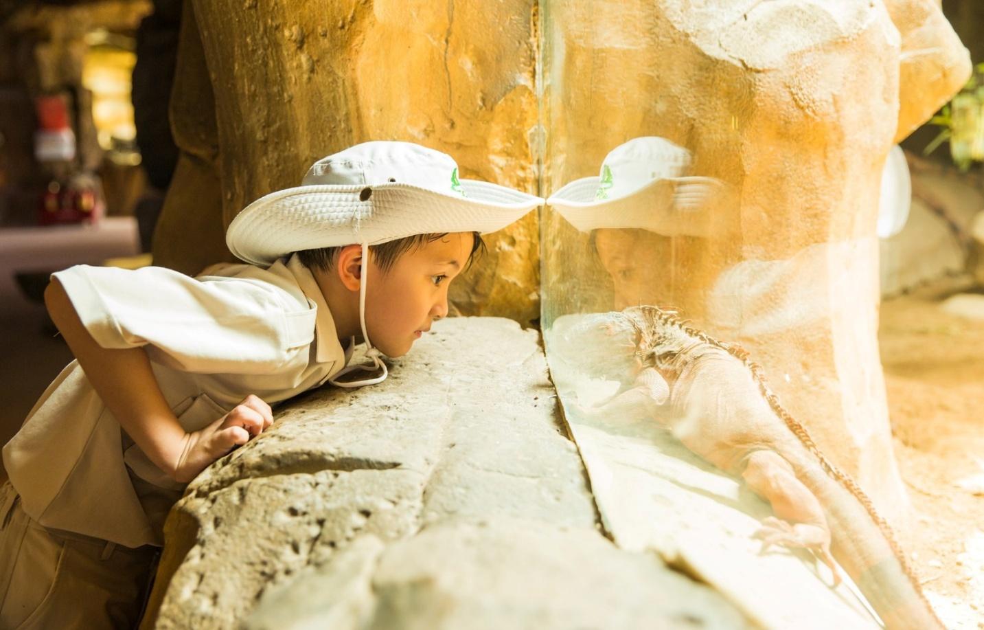 Vinwonders phối hợp c&ugrave;ng Quỹ Khuyến Học mang m&ugrave;a h&egrave; &yacute; nghĩa đến thiếu nhi khắp cả nước - Ảnh 5.