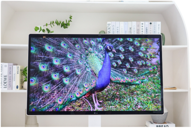 LG Smart Monitor Swing - M&agrave;n h&igrave;nh s&aacute;ng tạo gắn kết gia đ&igrave;nh trẻ- Ảnh 3.