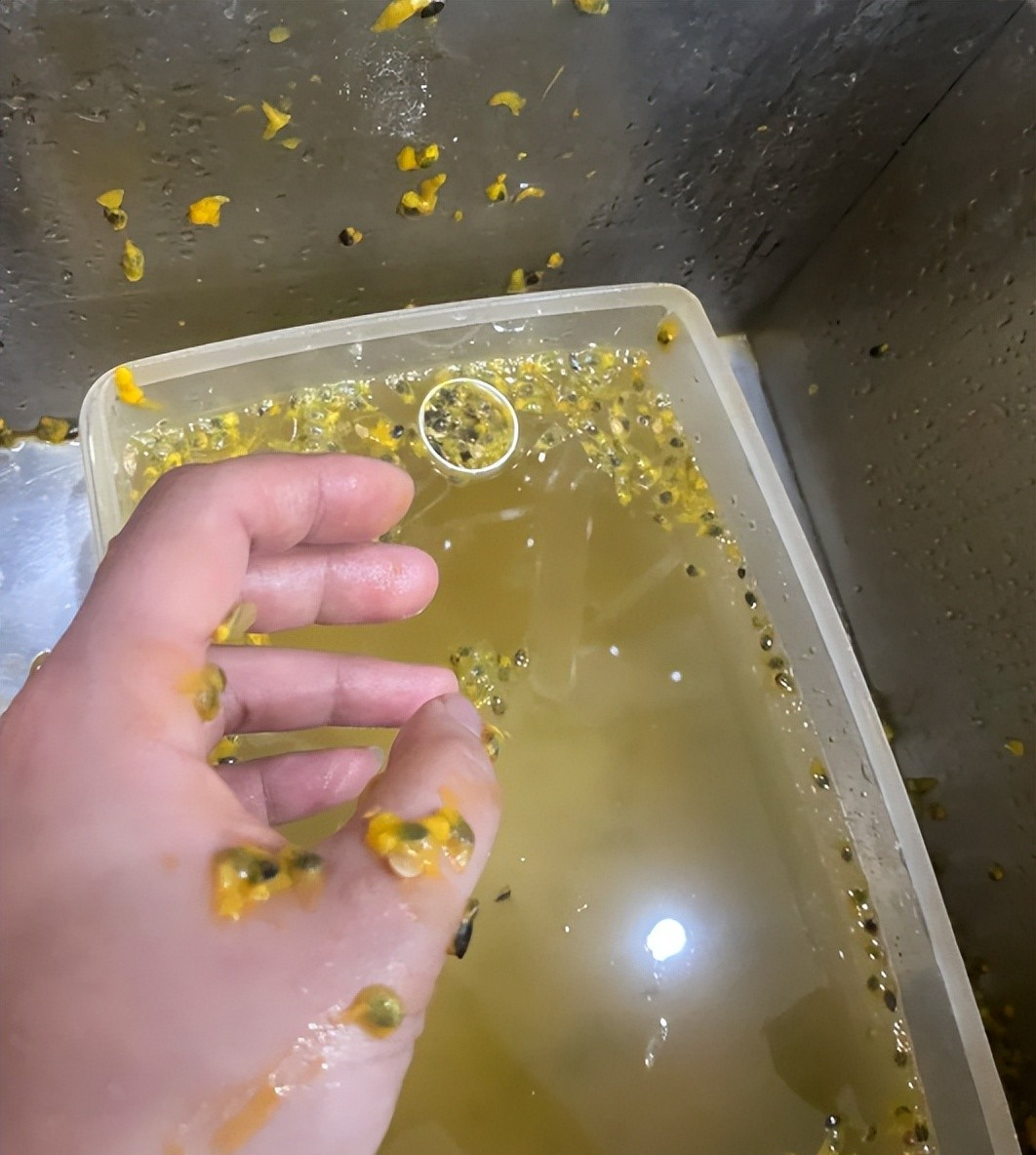 Mùa hè đừng tùy tiện nhét mọi thứ vào tủ lạnh: 5 món tưởng vô hại nhưng có thể gây nổ, nhiều nhà vẫn đang làm mỗi ngày - Ảnh 5.