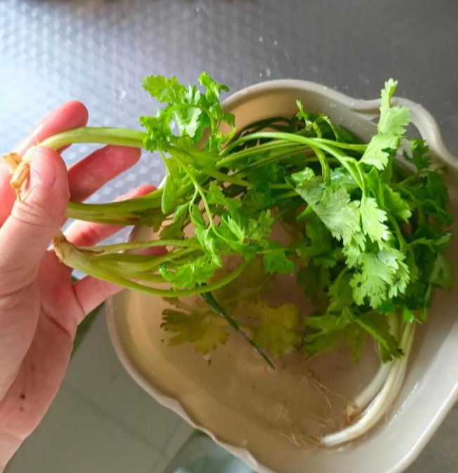 Tr&iacute; tuệ của thế hệ đi trước thật đ&aacute;ng nể: 8 mẹo sống đơn giản nhưng gi&uacute;p tiết kiệm tiền, thời gian v&agrave; c&ocirc;ng sức - Ảnh 4.