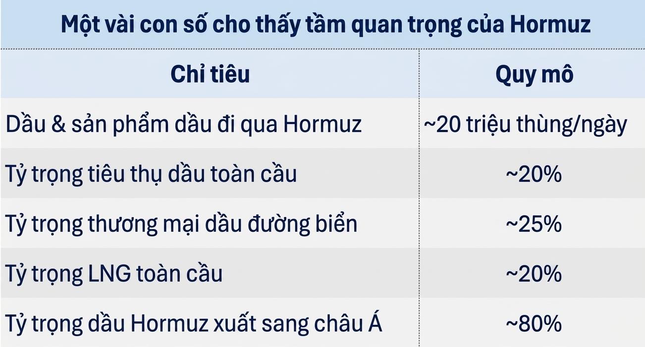 Eo biển Hormuz v&agrave; b&agrave;i to&aacute;n dự trữ năng lượng cho Việt Nam - Ảnh 1.