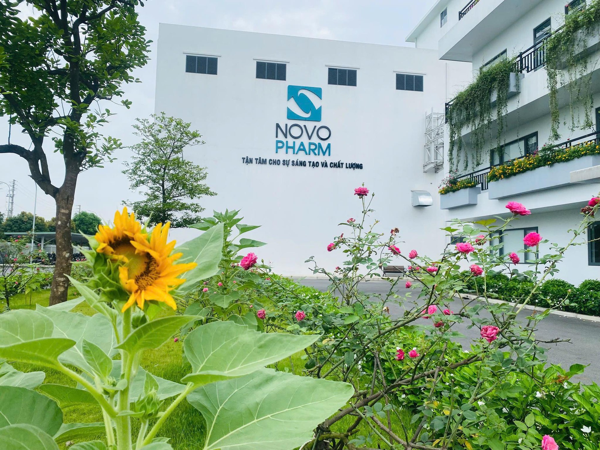 Dược Novopharm số h&oacute;a bao b&igrave;, vận h&agrave;nh chuyển đổi xanh - H&ograve;a nhịp c&ugrave;ng xu hướng Net Zero to&agrave;n cầu! - Ảnh 5.