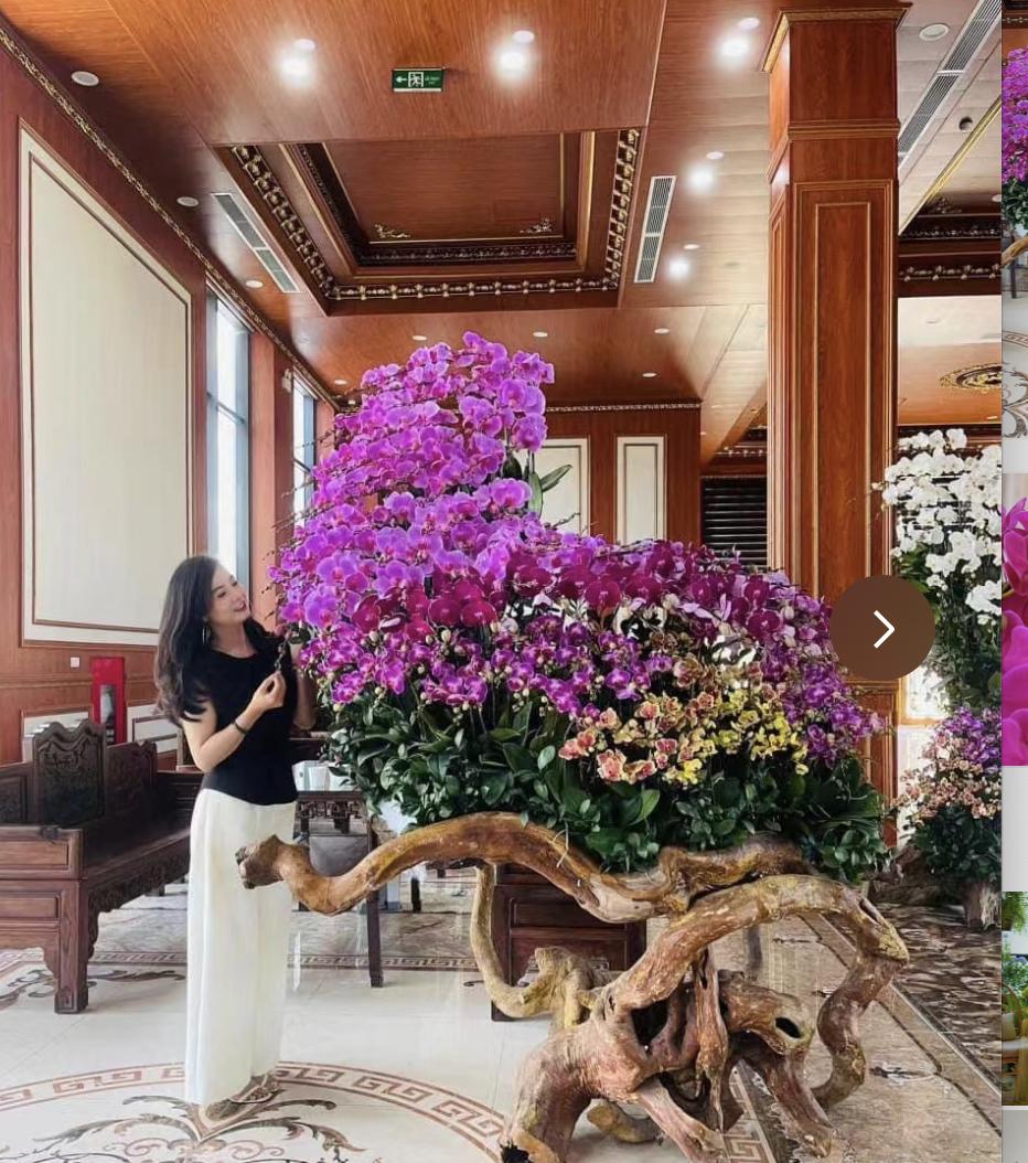 Người phụ nữ gây sốt với “phòng khách hoa lan” hơn 1.000 chậu: Không gian ngập sắc hoa khiến ai nhìn cũng muốn ngắm mãi - Ảnh 2.