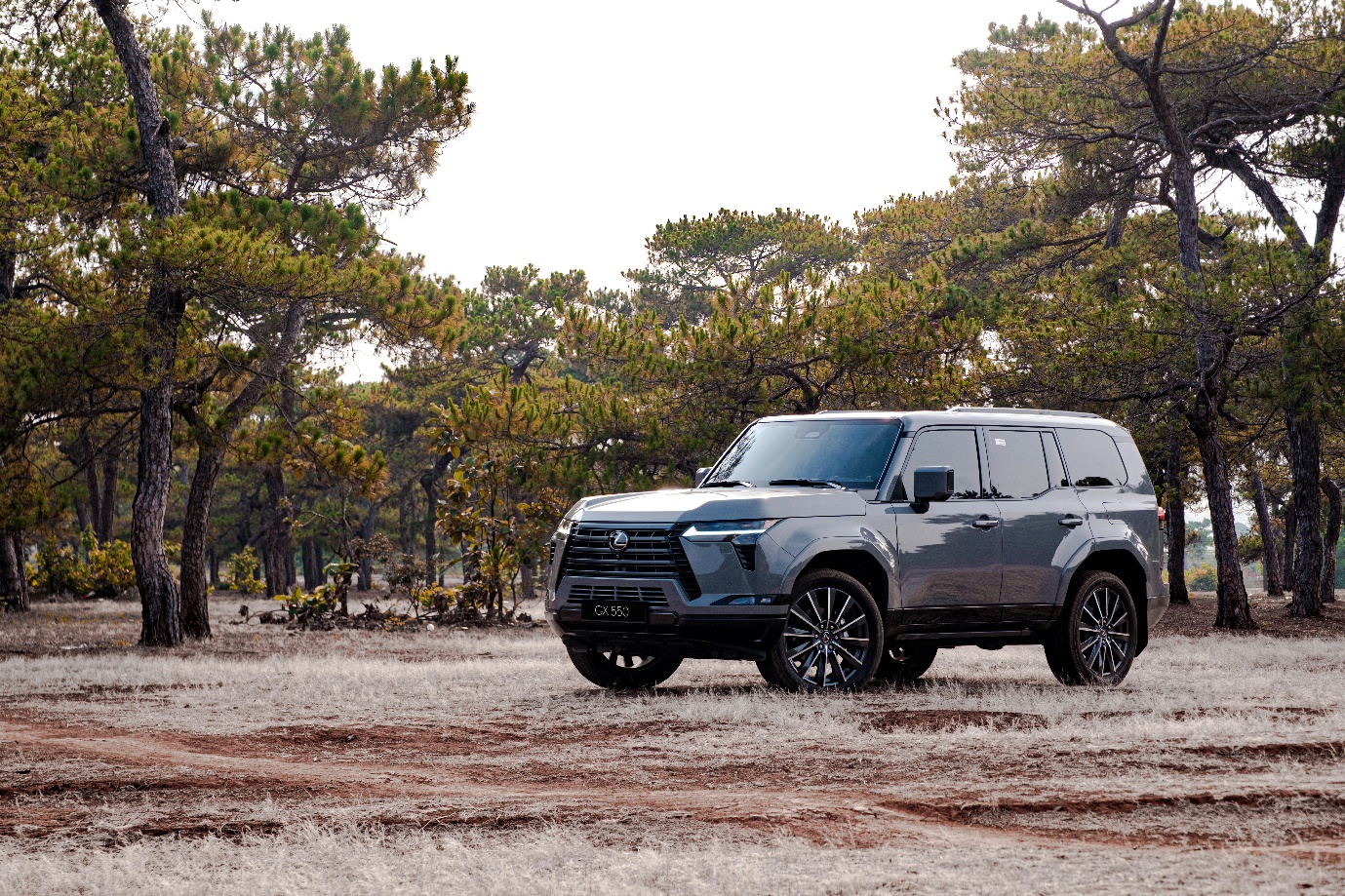 Ph&iacute;a sau v&ocirc; lăng Lexus GX: Từ quen ngồi ghế sau lại muốn tự l&aacute;i kh&ocirc;ng ngừng - Ảnh 3.