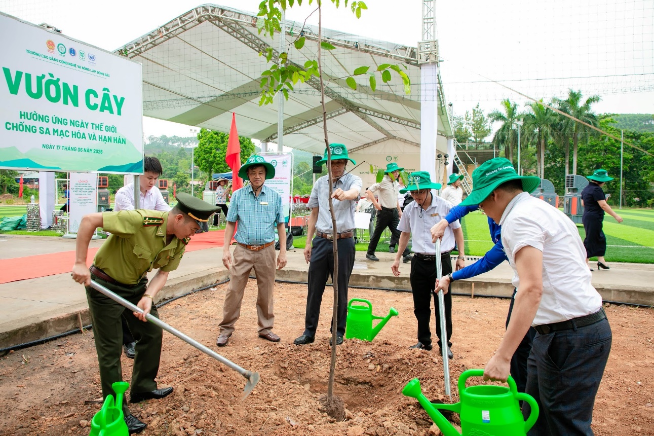 Từ 1,5 triệu c&acirc;y xanh đến b&agrave;i to&aacute;n hợp t&aacute;c c&ocirc;ng - tư trong trồng c&acirc;y, phục hồi rừng - Ảnh 4.