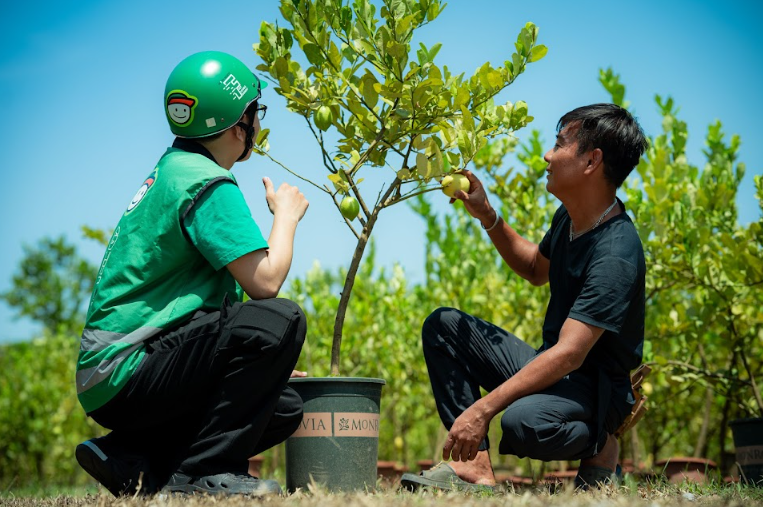 Kinh doanh c&acirc;y cảnh online: L&agrave;m sao để hạn chế rủi ro khi giao h&agrave;ng? - Ảnh 1.