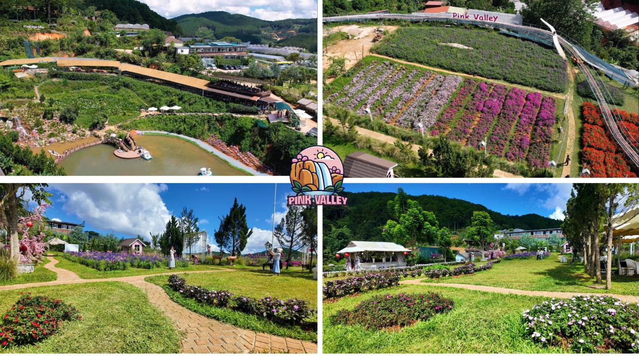 Pink Valley: Thung lũng đẹp như cổ t&iacute;ch ở Đ&agrave; Lạt khiến giới trẻ m&ecirc; mẩn chỉ với 120.000 đồng - Ảnh 2.