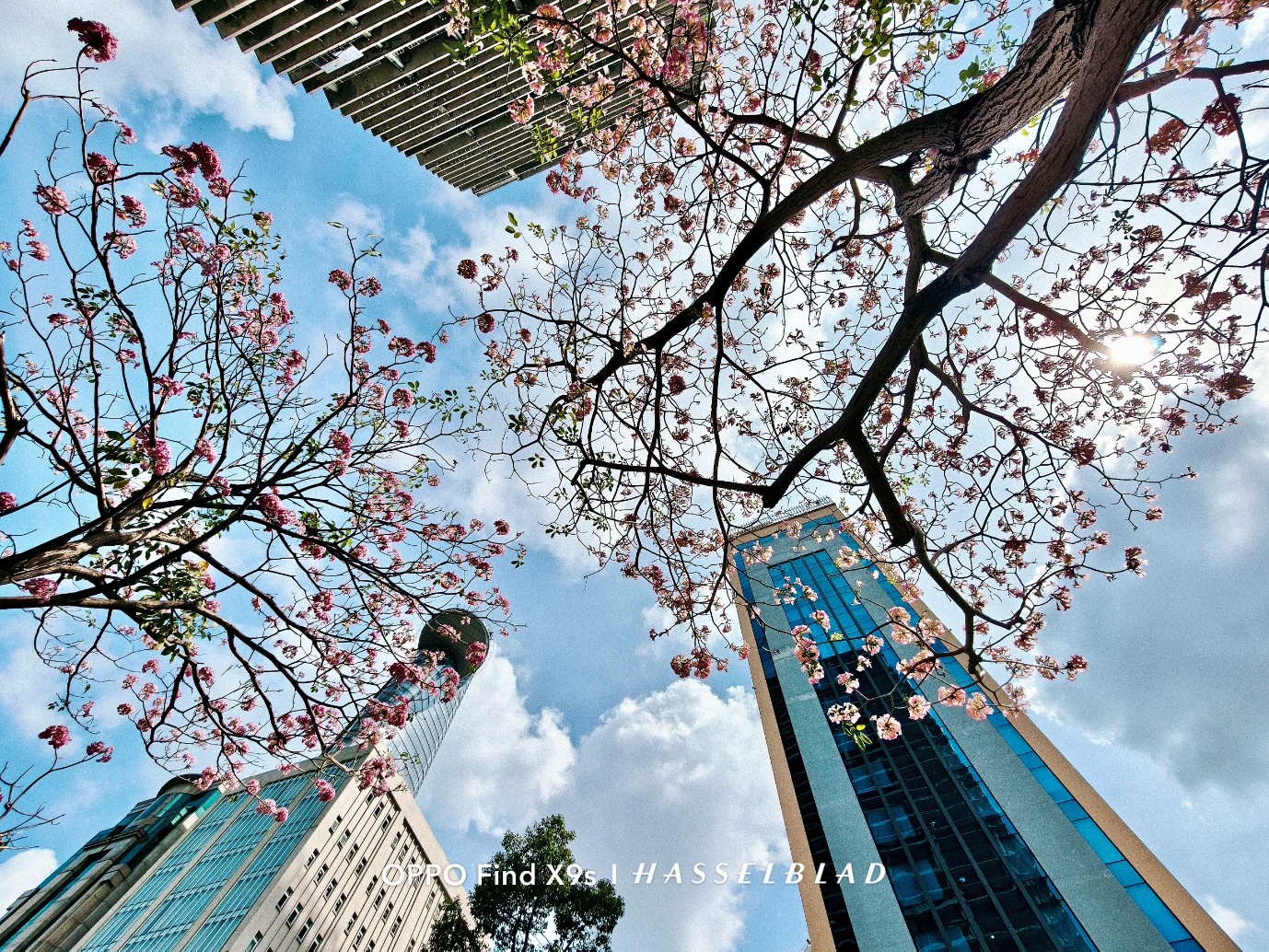 OPPO Find X9s: Chiếc flagship nhỏ gọn cho những chuyến đi nhiều cảm x&uacute;c - Ảnh 3.