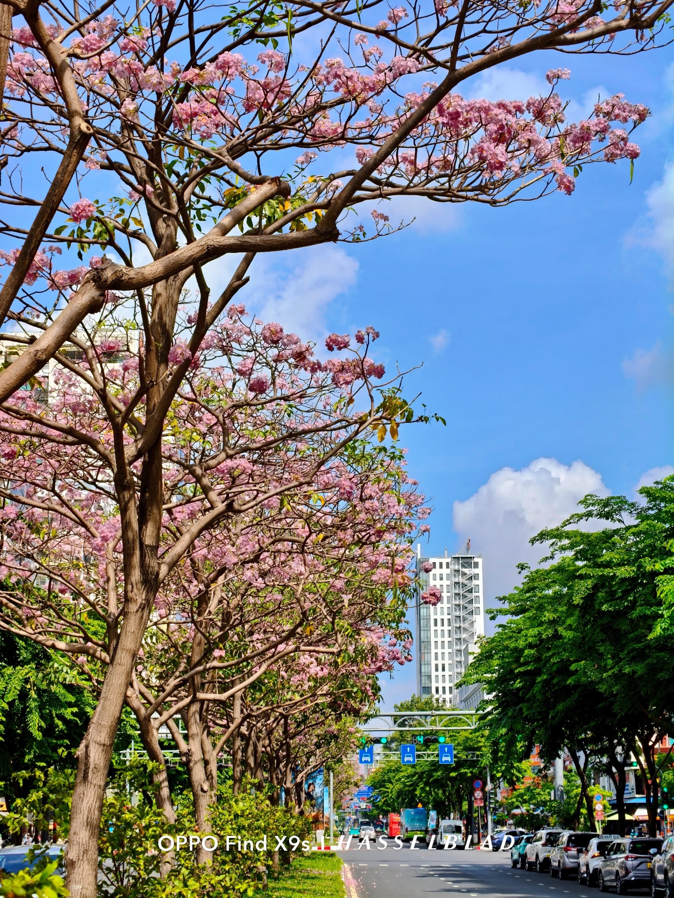 OPPO Find X9s: Chiếc flagship nhỏ gọn cho những chuyến đi nhiều cảm x&uacute;c - Ảnh 4.