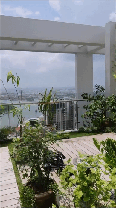 Thứ quả có nguồn gốc từ Mexico được bán giá 500k/cân lại xuất hiện đầy trong khu vườn trên penthouse của Diva Hồng Nhung - Ảnh 4.