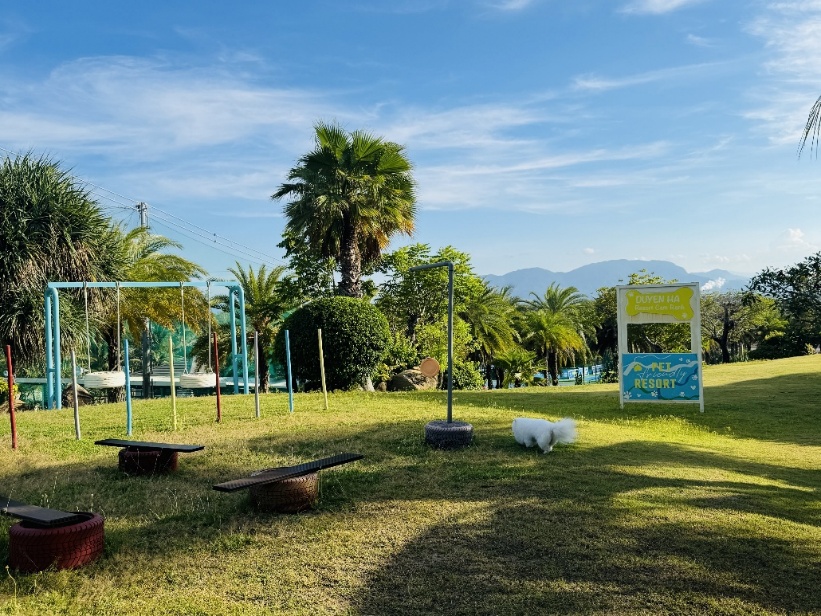 Khi &ldquo;boss&rdquo; cũng cần một kỳ nghỉ: Duy&ecirc;n H&agrave; Resort Cam Ranh v&agrave; trải nghiệm Pet Friendly giữa B&atilde;i D&agrave;i- Ảnh 4.
