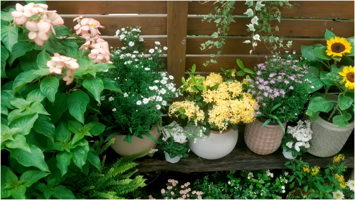Bên trong biệt thự cổ 300m2 giữa rừng của nữ TikToker 3 triệu follower - Ảnh 30.