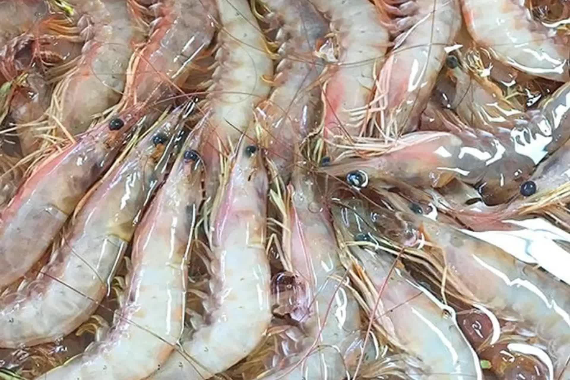 Không phải thịt gà hay thịt bò, đây là 3 loại thịt "chân ái" mà bạn có thể nấu được 3 món ngon lại nhanh với hơn 10 phút- Ảnh 17. Không phải thịt gà hay thịt bò, đây là 3 loại thịt "chân ái" mà bạn có thể nấu được 3 món ngon lại nhanh với hơn 10 phút- Ảnh 17.