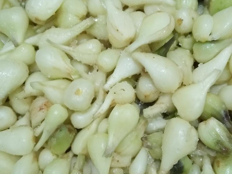 Ra chợ mua 1kg "nhân sâm của các loại rau" về ngâm một hũ, vị chua ngọt vô cùng kích thích vị giác, ngon miệng- Ảnh 4.