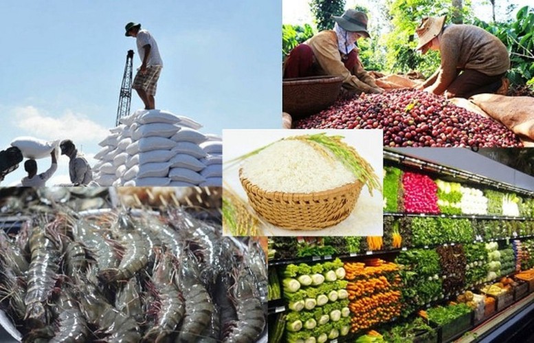 Xuất khẩu n&ocirc;ng l&acirc;m thủy sản từ 70 đến 100 tỷ USD: Cần những bước đột ph&aacute; mới- Ảnh 7.